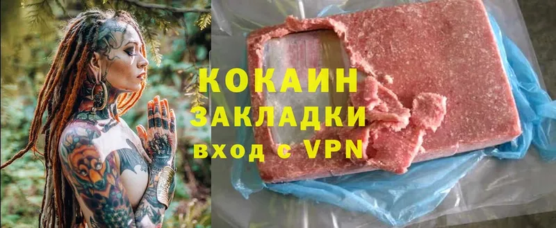 COCAIN Fish Scale  купить закладку  omg ссылки  Данилов 